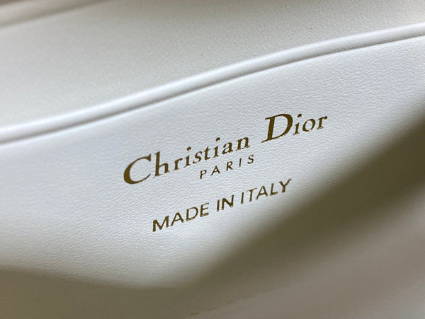 Dior 2025 Microbead Sequin Embroidery Bag 21cm White Gold Calfskin 270503