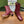 GG Horsebit Ankle Boot 65 Burgundy Calfskin